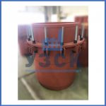 Купить сальниковые компенсаторы Ду 1000, Ду 700, Ду 800, Ду 600, Ду 500, Ру 25 в Ярославле